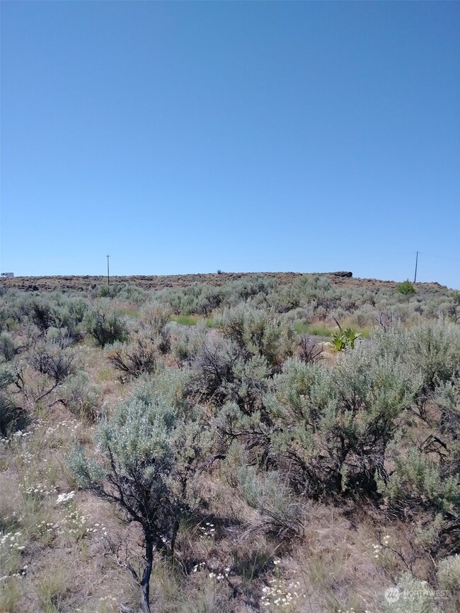 0 Snaffle Ct unit NWM2048300, Ephrata, WA 98823 - photo 5