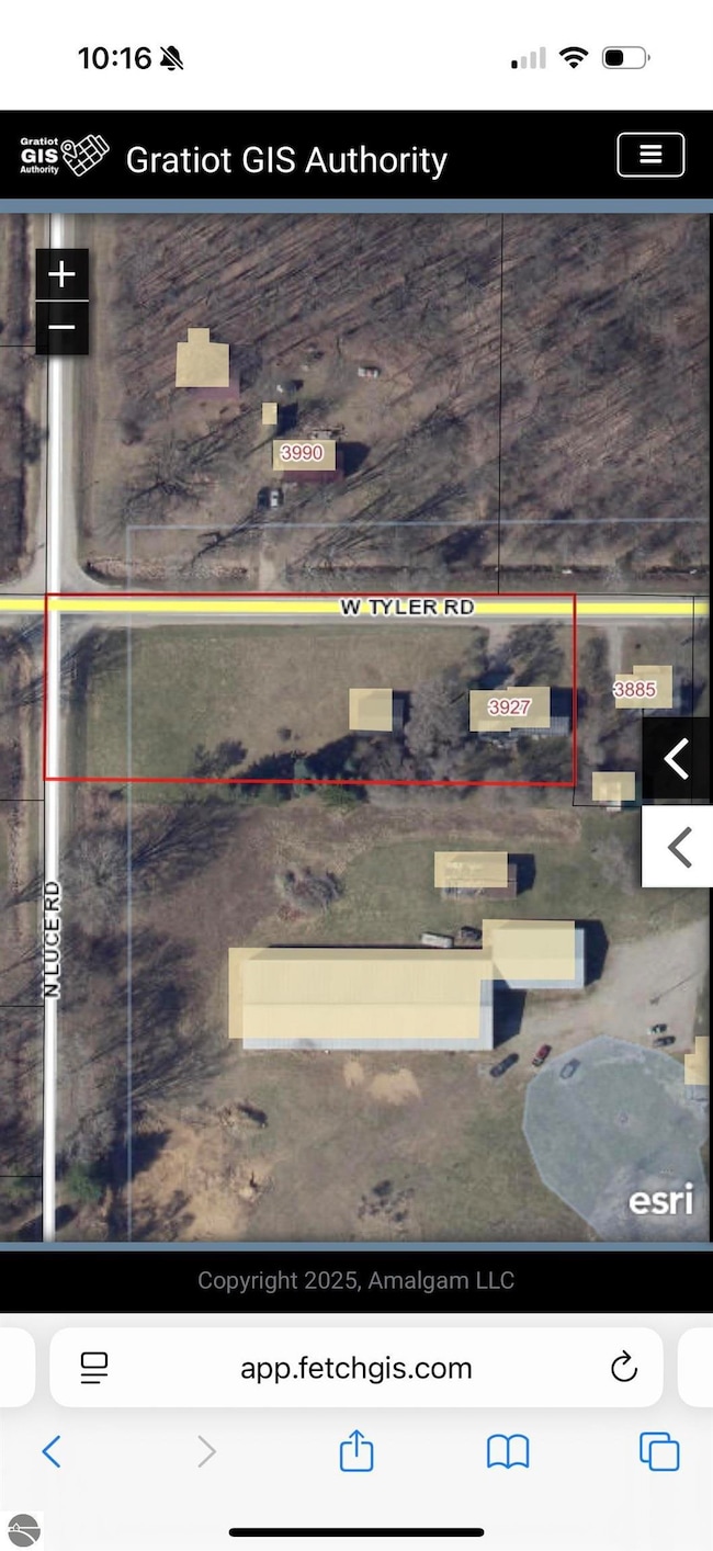 3927 W Tyler Rd, Alma, MI 48801 - photo 4