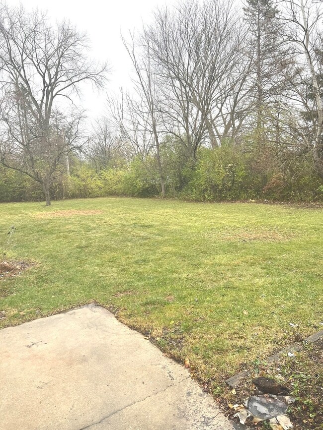 4430 186th St, Country Club Hills, IL 60478 - photo 3