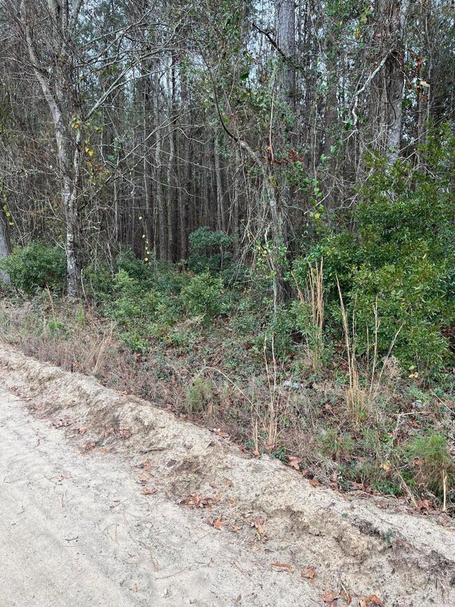 00 Ryn St, Cope, SC 29038 - photo 5