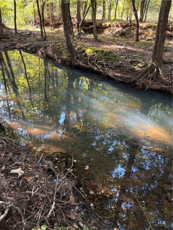 000 Quicker Still Ln, Dover, AR 72837 - photo 6