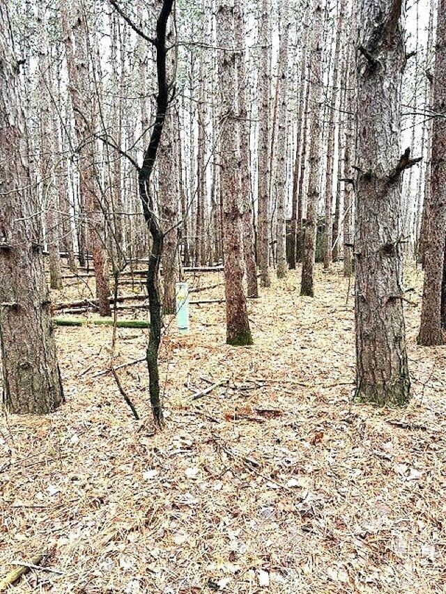 0 Lake St unit 50304618, Waupaca, WI 54981 - photo 5