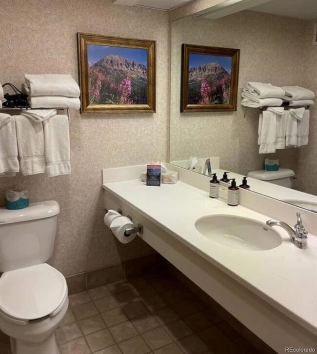 6 Emmons Rd unit 269, Crested Butte, CO 81225 - photo 5