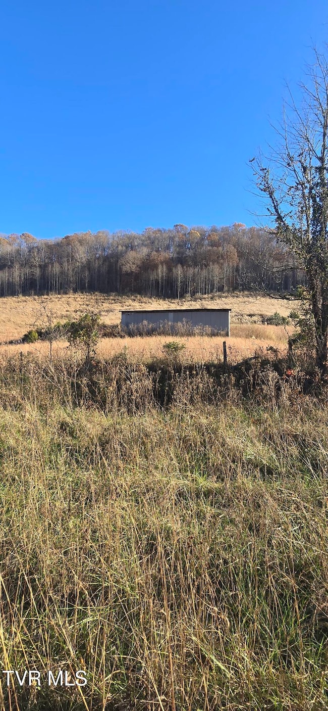 2351 Line Rd, Eidson, TN 37731 - photo 2