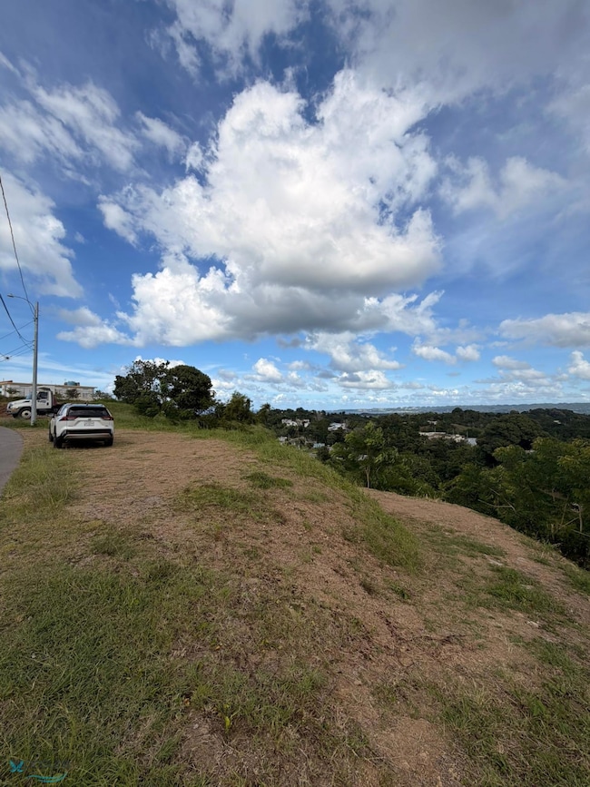 KM 4.2 Bo Carrizal unit Solar 1, Aguada, PR 00602 - photo 6