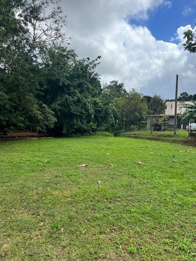 Calle Juan Ramos Bo Guaraguao, Guaynabo, PR 00969 - photo 7