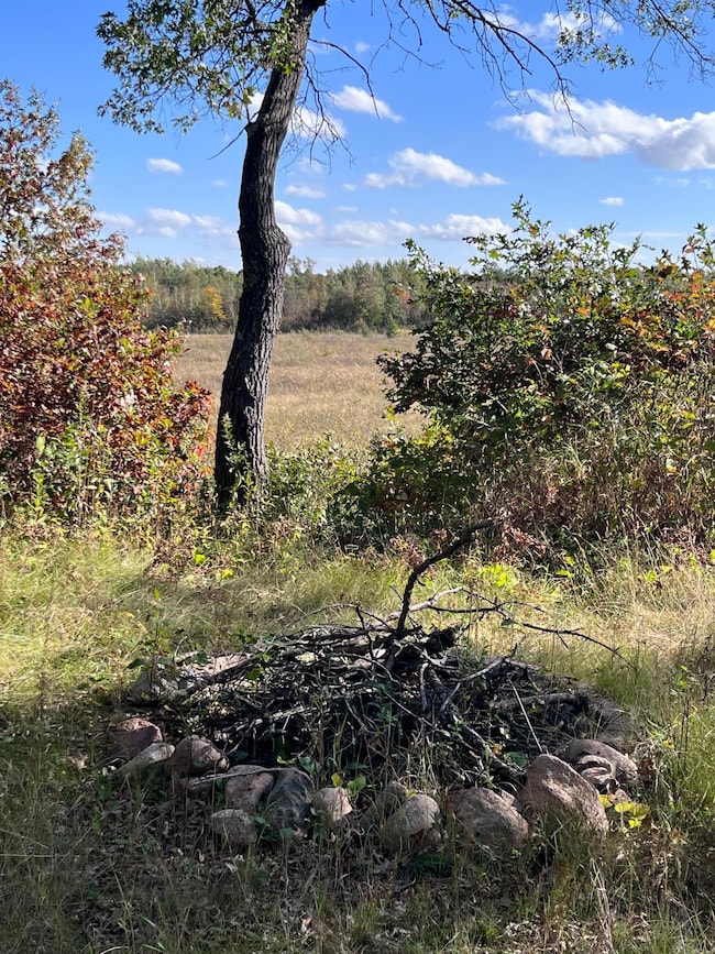 16515 Woodrow Rd, Brainerd, MN 56401 - photo 5