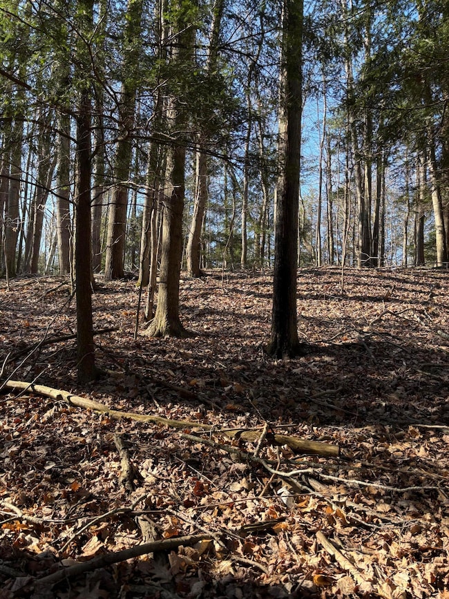 VL Lot 811 Miramichi Dr, Evart, MI 49631 - photo 4