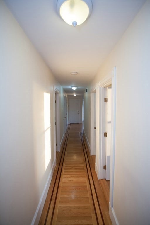12 Magnolia Ave unit 2, Cambridge, MA 02138 - photo 6