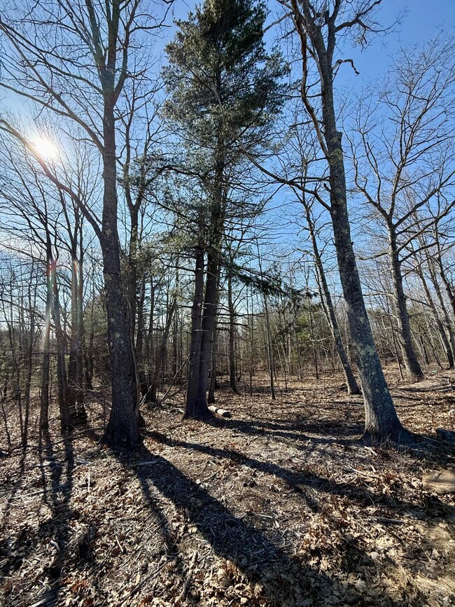 005 Finson Rd, Bangor, ME 04401 - photo 7