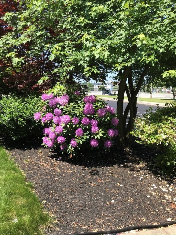 Beautiful Landscaping...