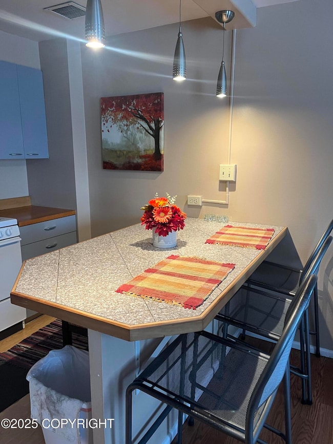 843 W 11th Ave unit 207, Anchorage, AK 99501 - photo 3