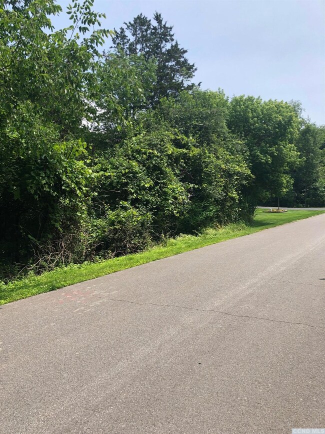 37 - SS Sleepy Hollow Rd, Coxsackie, NY 12051 - photo 5