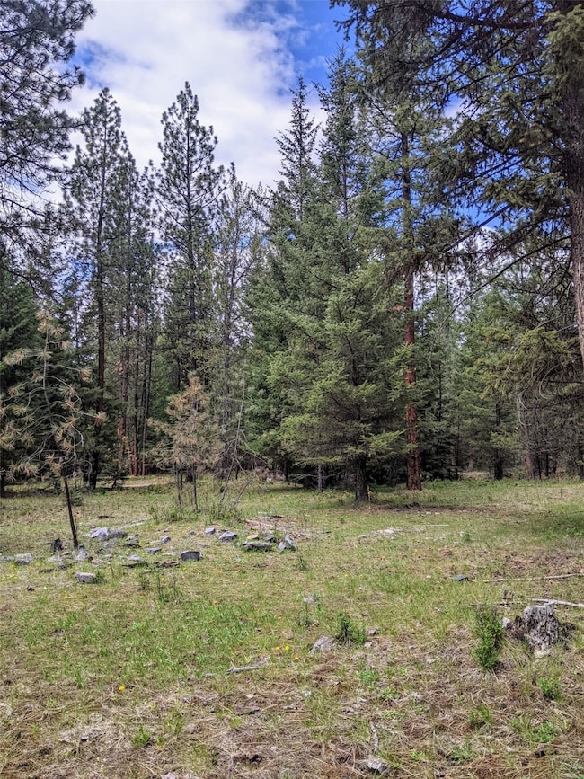 NHN Little Deer Dr, Plains, MT 59859 - photo 7