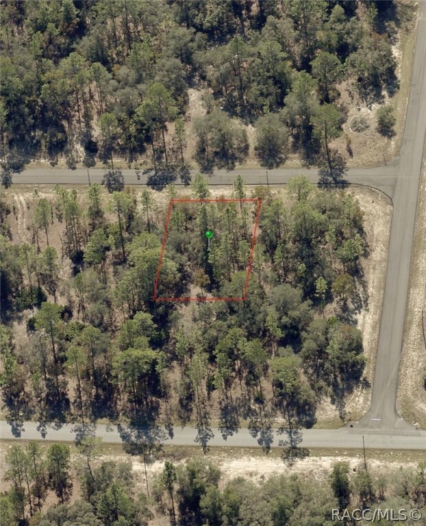 2881 W Huron Ln, Citrus Springs, FL 34433 - photo 3