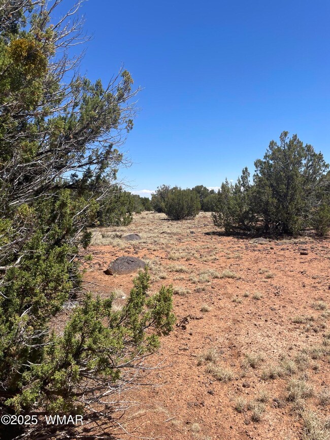 108 Colorado Ave, Concho, AZ 85924 - photo 7