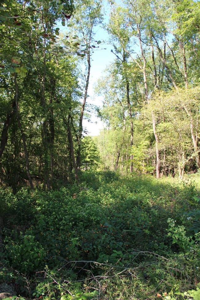 0 Township Road 133, Polk, OH 44866 - photo 3