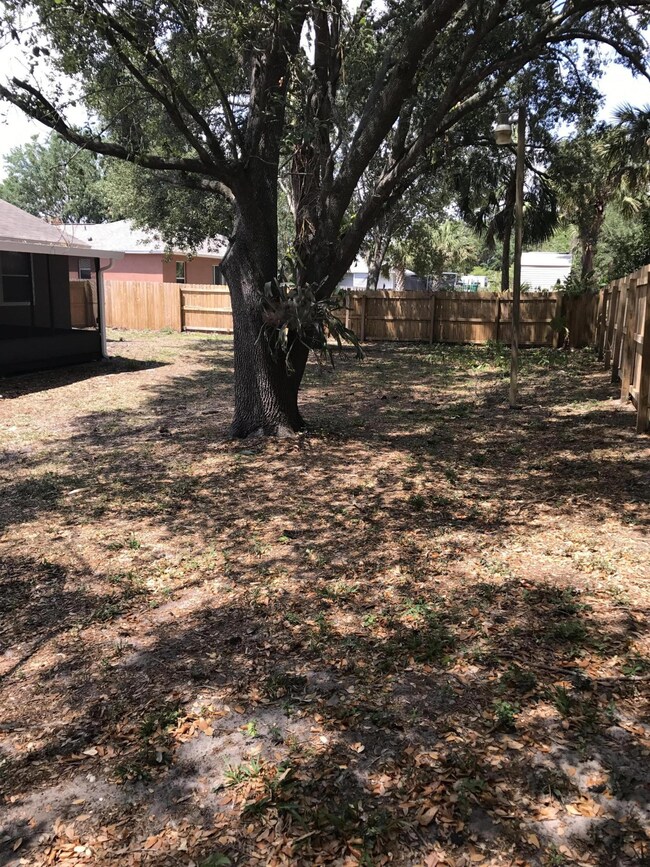 Back yard