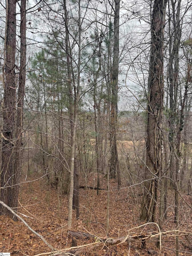 208 Wedge Way, Travelers Rest, SC 29690 - photo 4