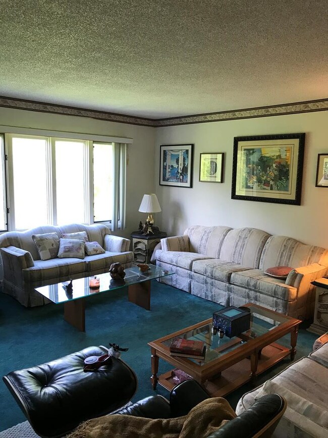 Spacious Living Room