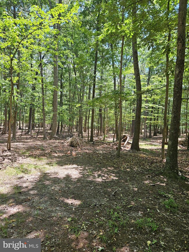 1631 Sideling Mountain Trail, Great Cacapon, WV 25422 - photo 6