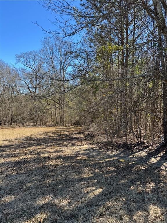 2058 Lee Rd, Salem, AL 36874 - photo 2