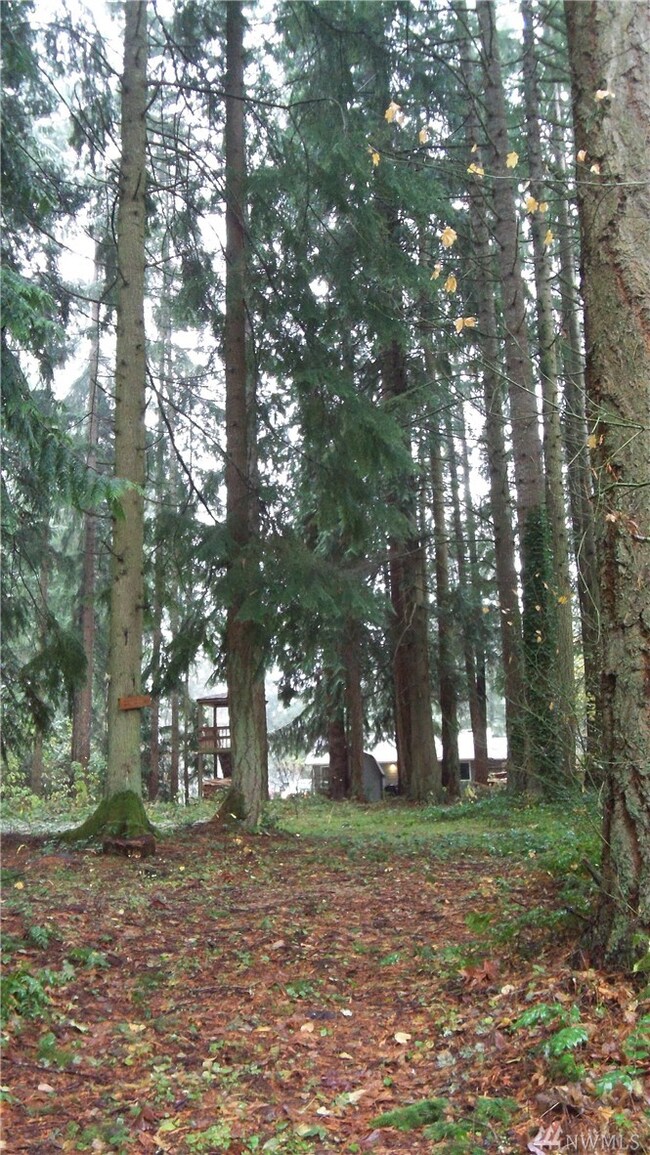 22003 N Clear Lake Blvd SE, Yelm, WA 98597 - photo 3