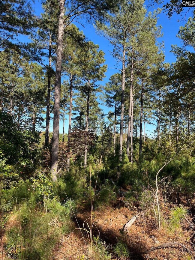 DRF 3 Dawkins Rd unit DRF 3, Pacolet, SC 29372 - photo 6