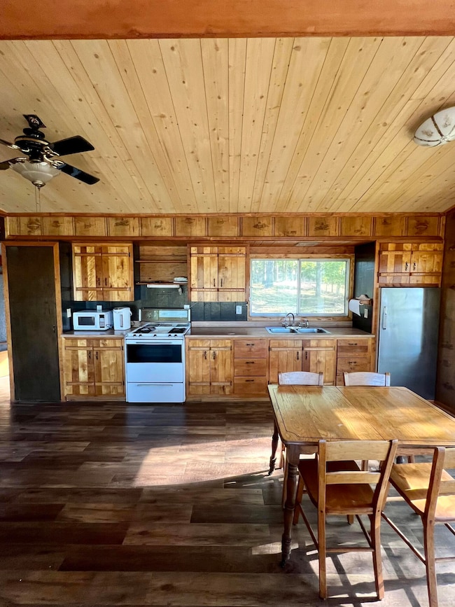 10921 N Pinegrove Ln, Bitely, MI 49309 - photo 4