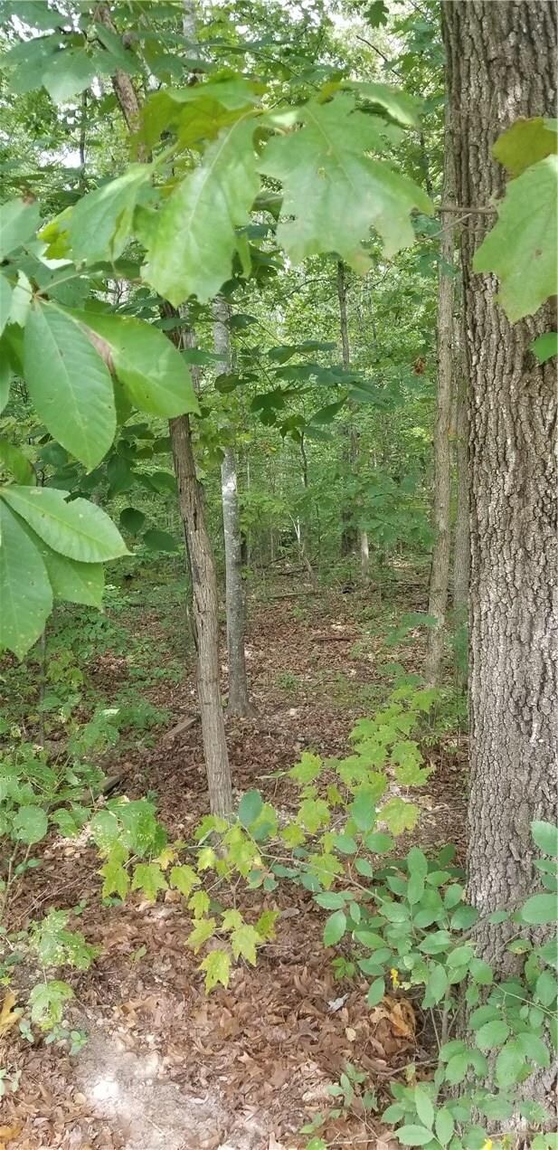 8 Weston Ln, Bella Vista, AR 72715 - photo 2