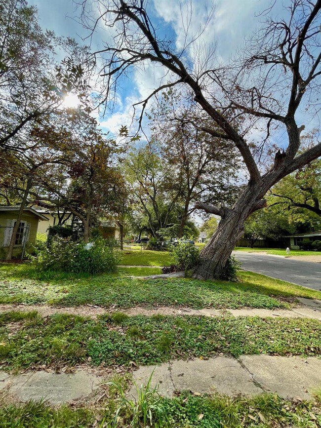 4901 W Park Dr, Austin, TX 78731 - photo 7