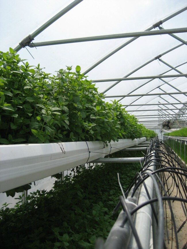 29822 68th Ave NW, Stanwood, WA 98292 - photo 7