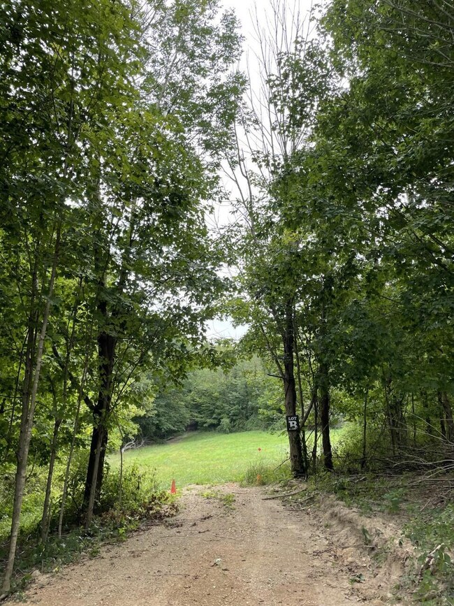 LOT B3