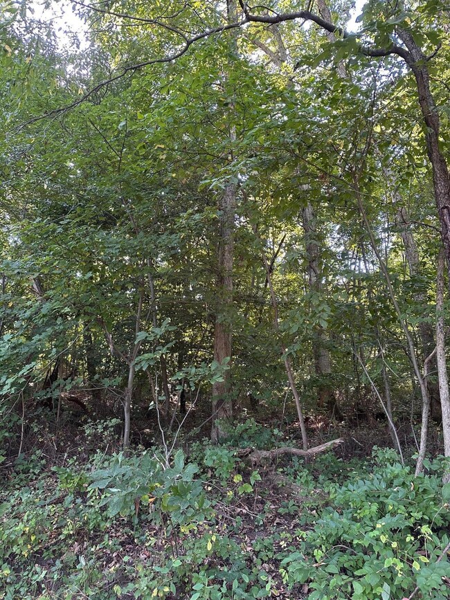 00 E Division Rd, La Porte, IN 46350 - photo 6