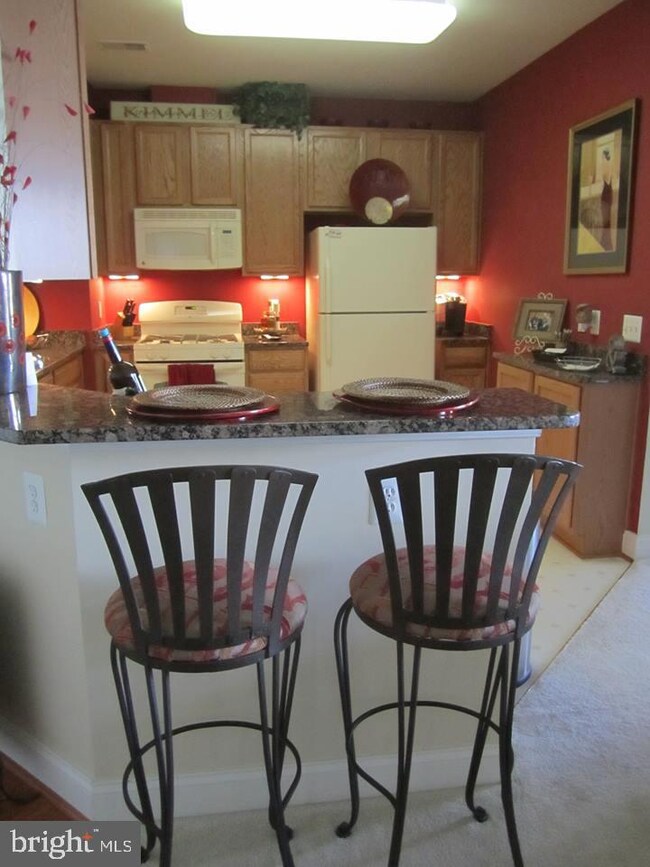 23620 Overlook Park Dr unit 203, Clarksburg, MD 20871 - photo 3