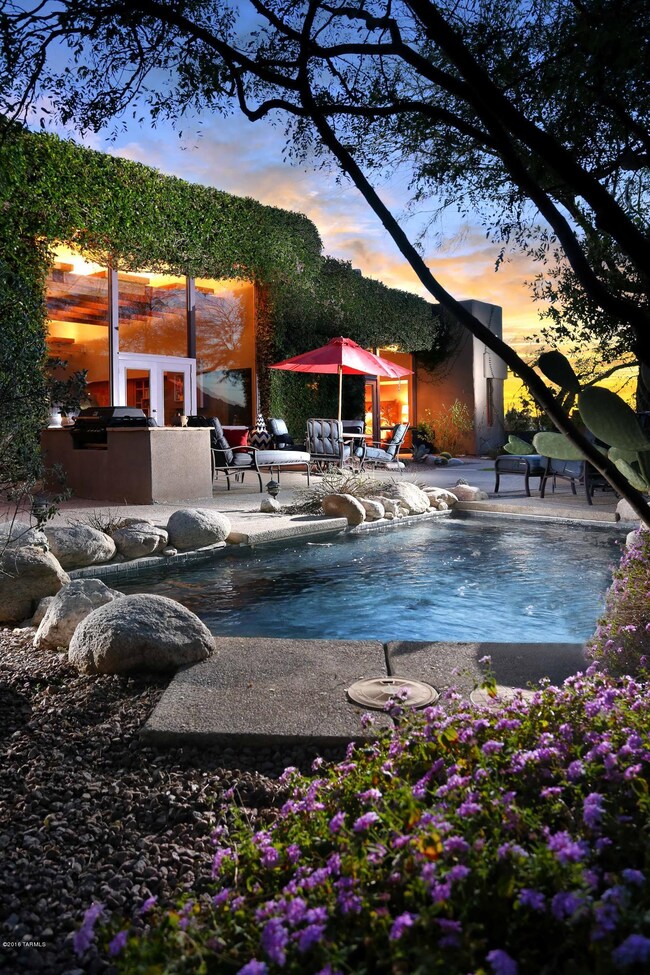 Rear Yard 1