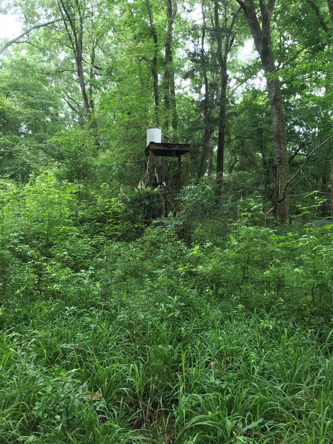 1106 Pike 93 N, McComb, MS 39648 - photo 3