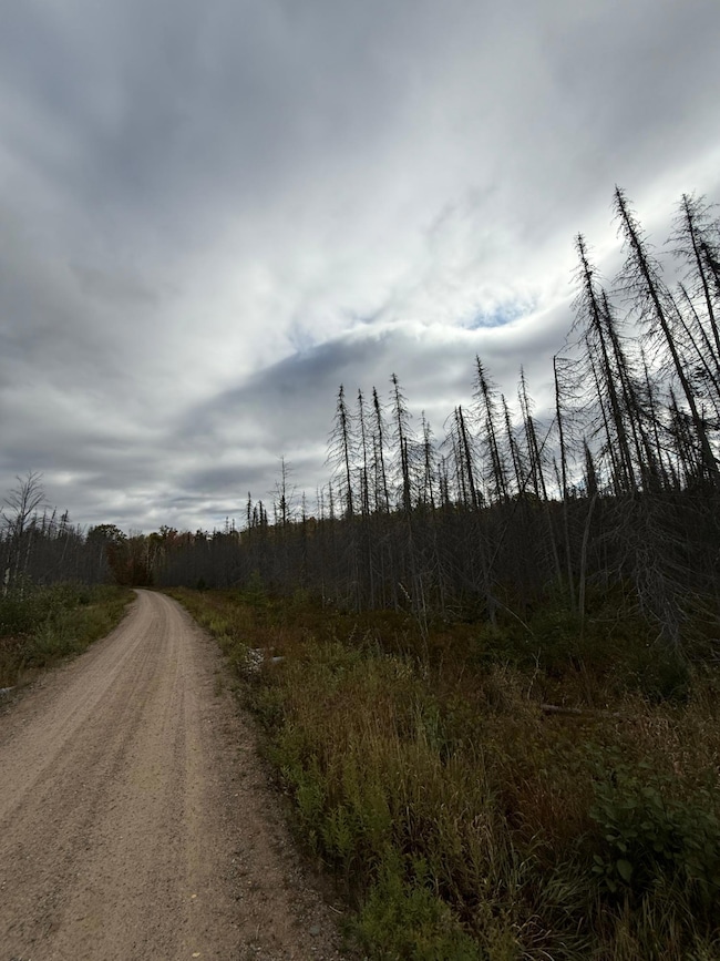 LOT 2 Birch Ln, Nashville, WI 54465 - photo 2