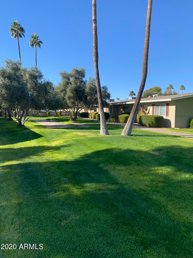 13611 N 111th Ave unit 120, Sun City, AZ 85351 - photo 2