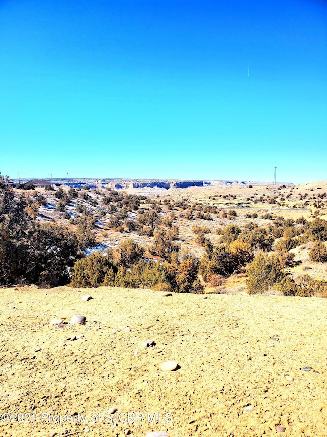 1201 Katherine Ave, Farmington, NM 87401 - photo 4