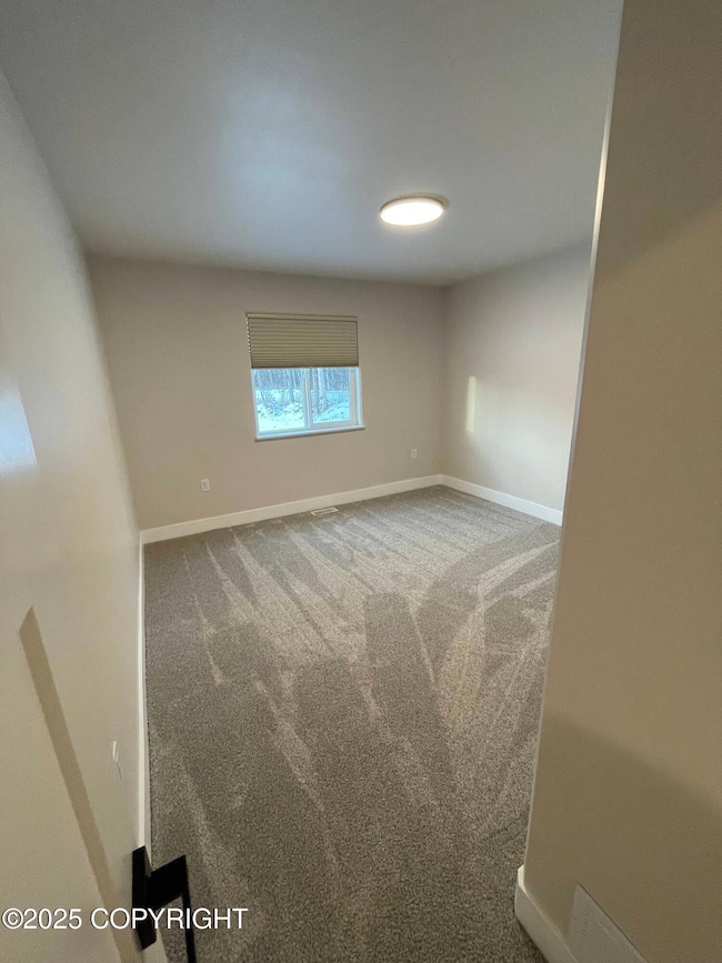 2706 S Weeping Birch St unit 1, Wasilla, AK 99654 - photo 4