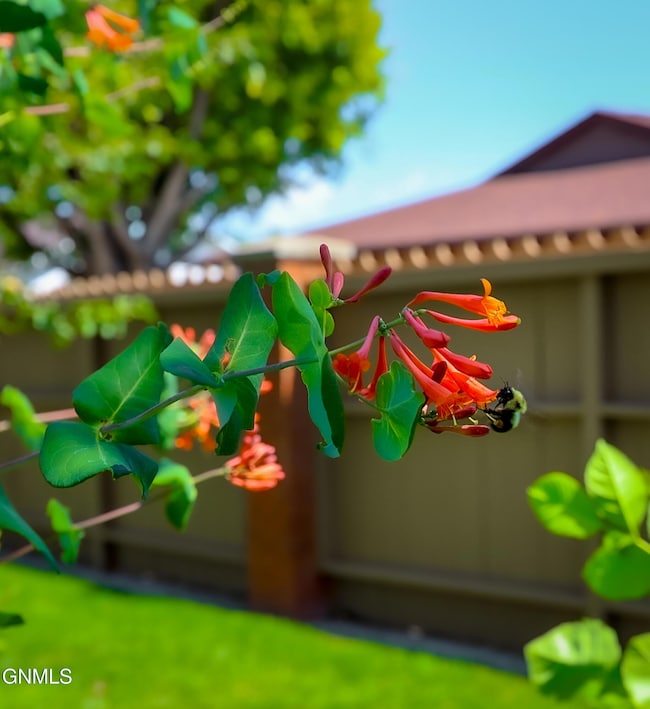 815 14th St W, Williston, ND 58801 - photo 3