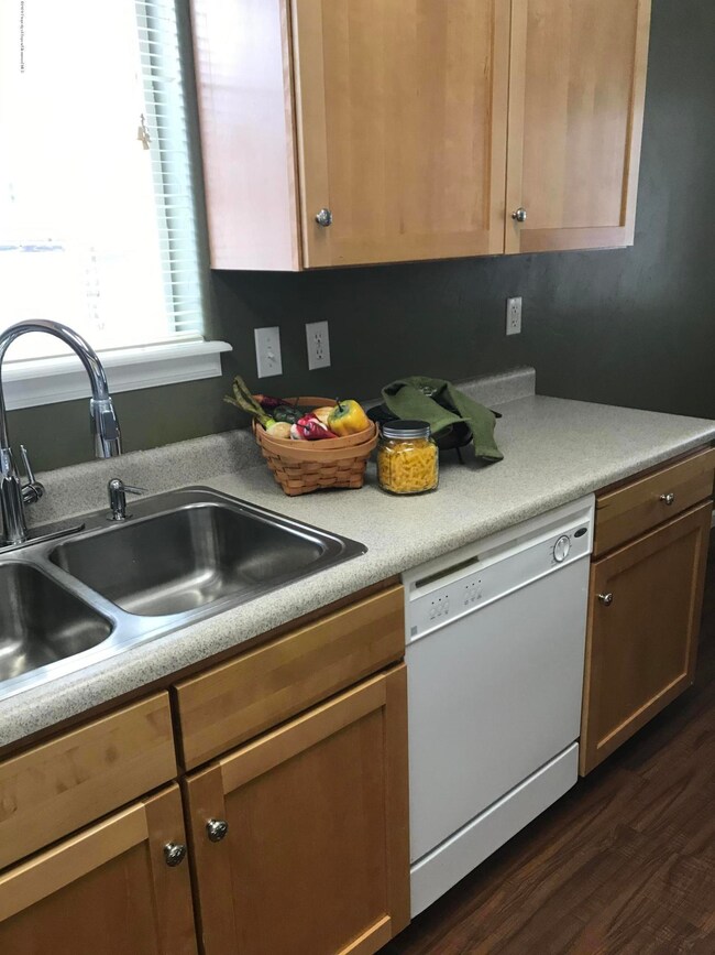 double sink and dishwasher