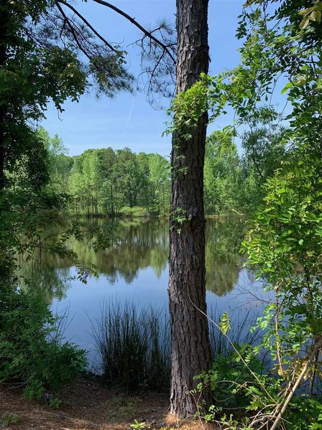 4043 N Carolina 96, Oxford, NC 27565 - photo 3