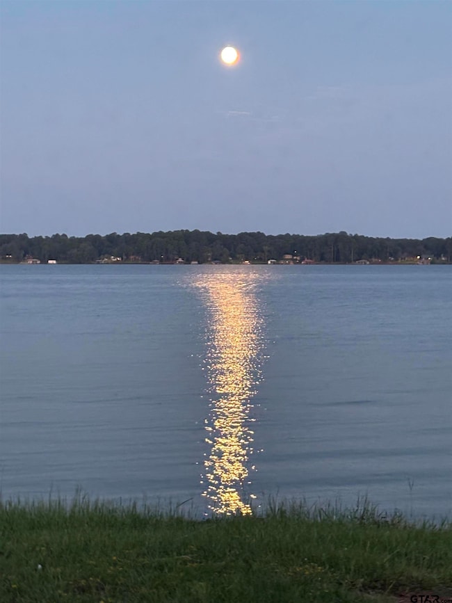 Lot 166 Kitty Hawk Dr, Berryville, TX 75763 - photo 6