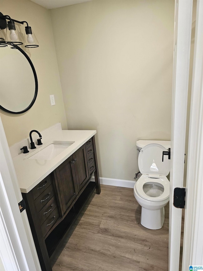 304 Coaling Rd, Sylacauga, AL 35150 - photo 4