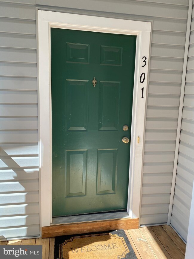 12712 Found Stone Rd unit 4301, Germantown, MD 20876 - photo 2