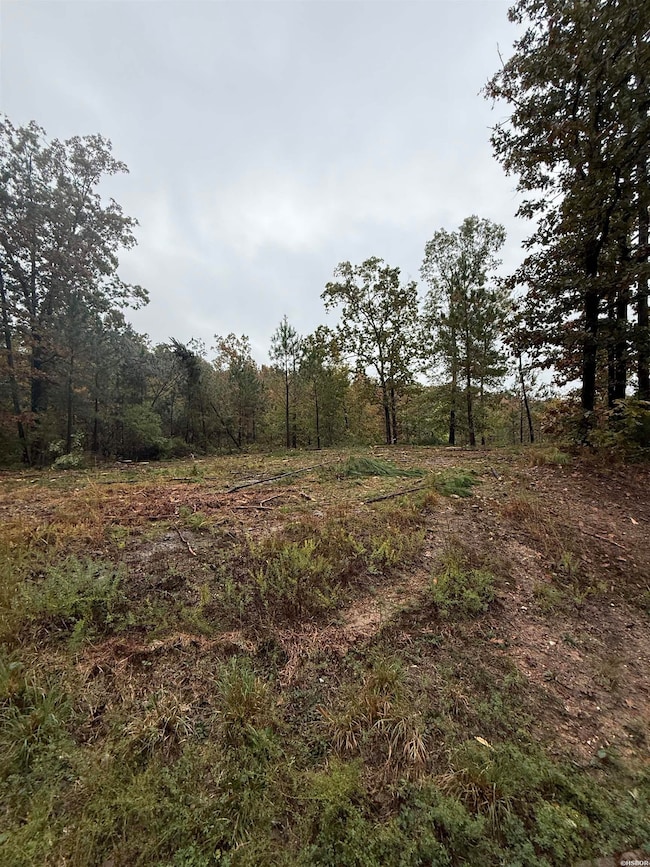 000 Palos Verdes Dr, Hot Springs, AR 71913 - photo 5