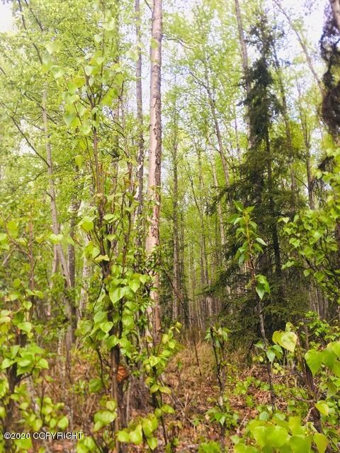 Wooded