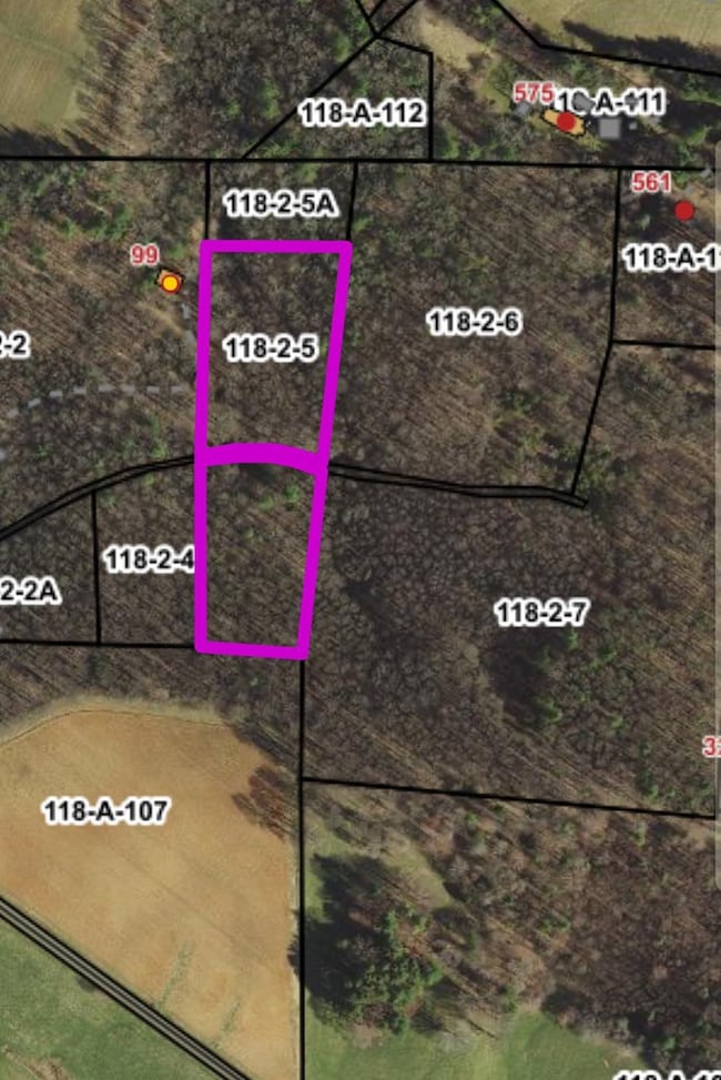 TBD Red Roof Ln, Laurel Fork, VA 24352 - photo 6